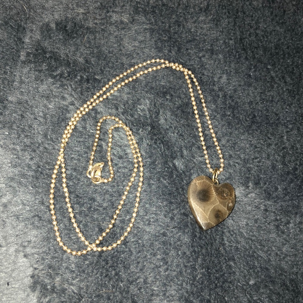Petoskey stone heart necklace